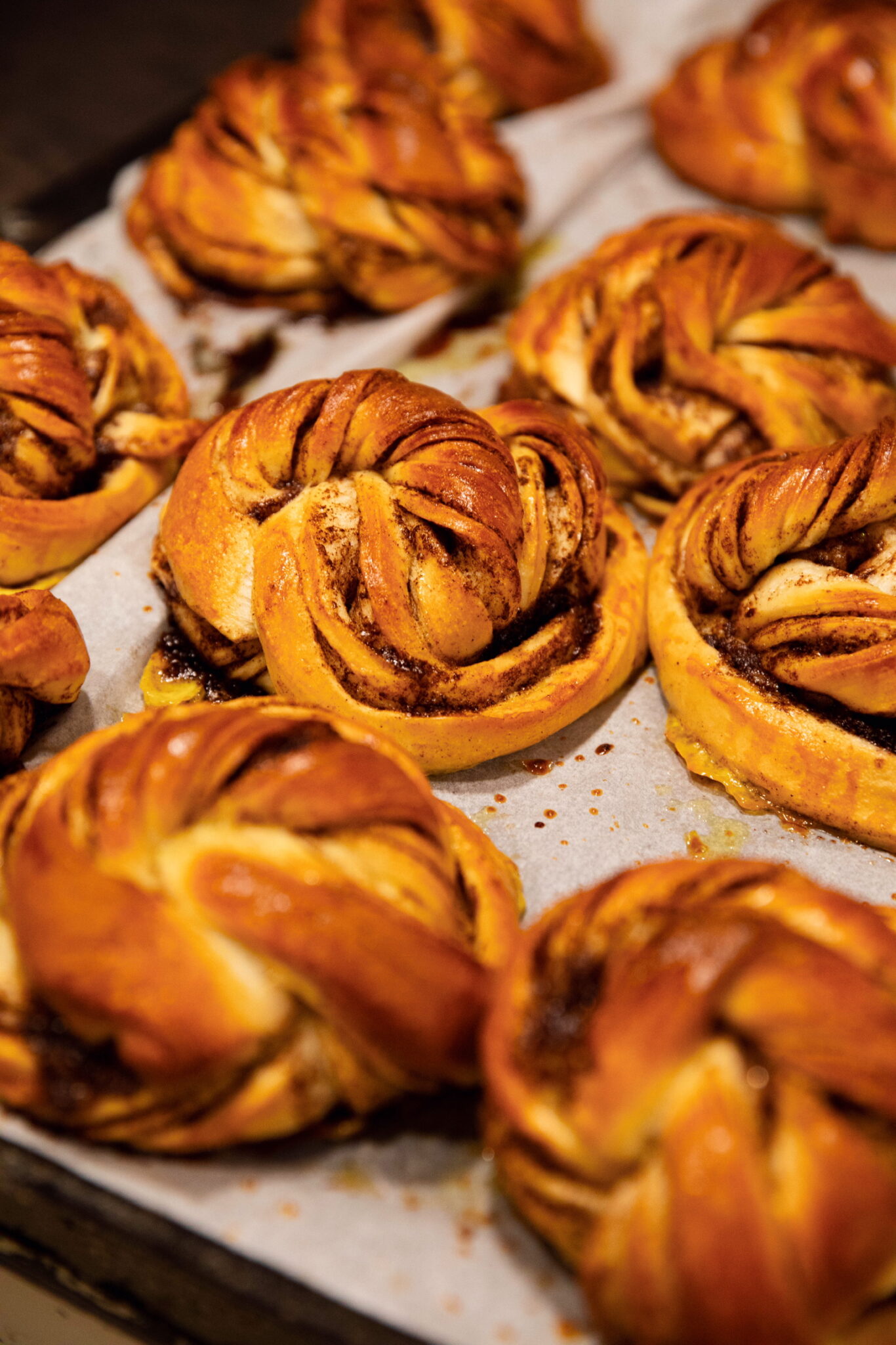 Bacillus, une bonne adresse de cinnamon roll à Paris © Marie Desprez Studio 