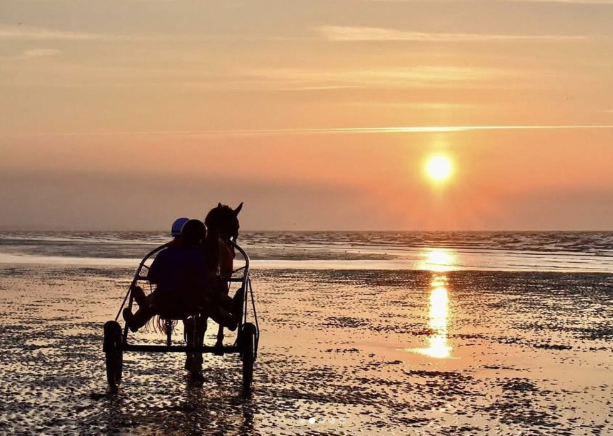 Les activités à faire à Cabourg © Sulky Passion