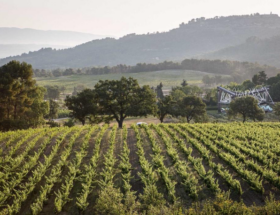 Les hôtels avec spa des Bouches-du-Rhône préférés de la rédaction