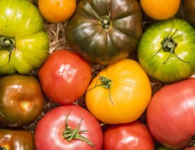 Les bonnes adresses du marché des Enfants-Rouges à Paris