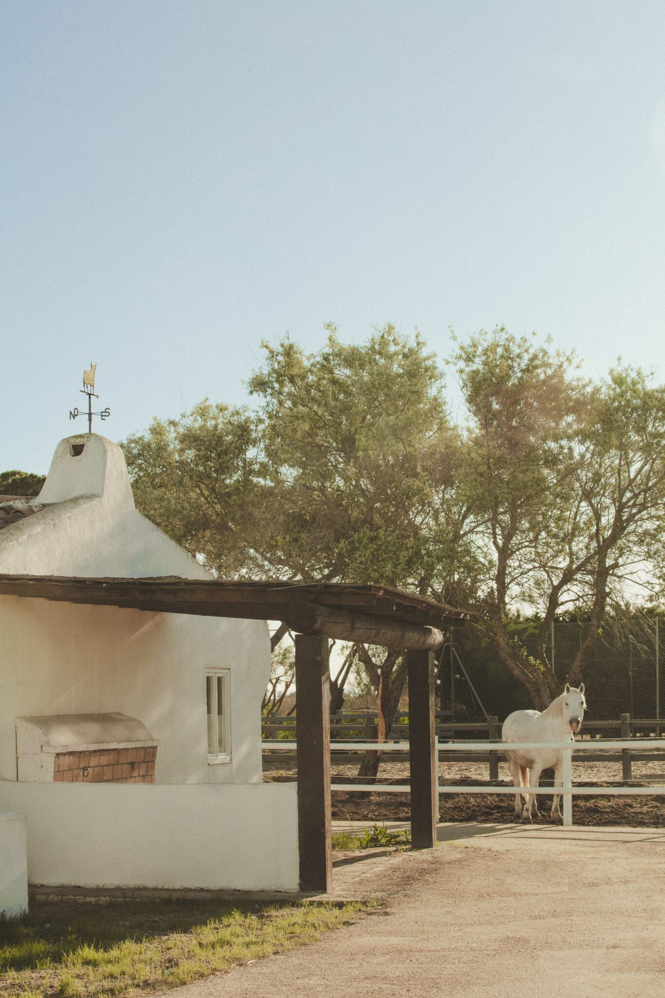 Bains Gardians, un week-end en Camargue © Matthieu Salvaing