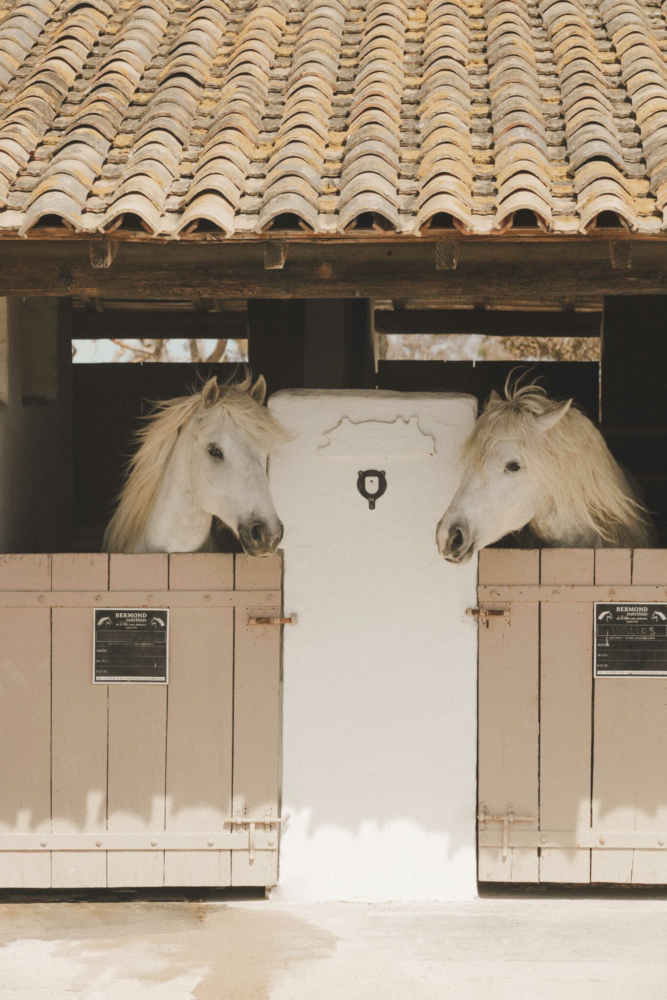 Bains Gardians, un week-end en Camargue © Matthieu Salvaing