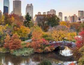 Les plus beaux hôtels à New-York autour de Central Park