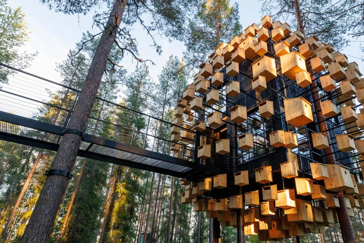 Les plus beaux hôtels en forêt © Treehotel