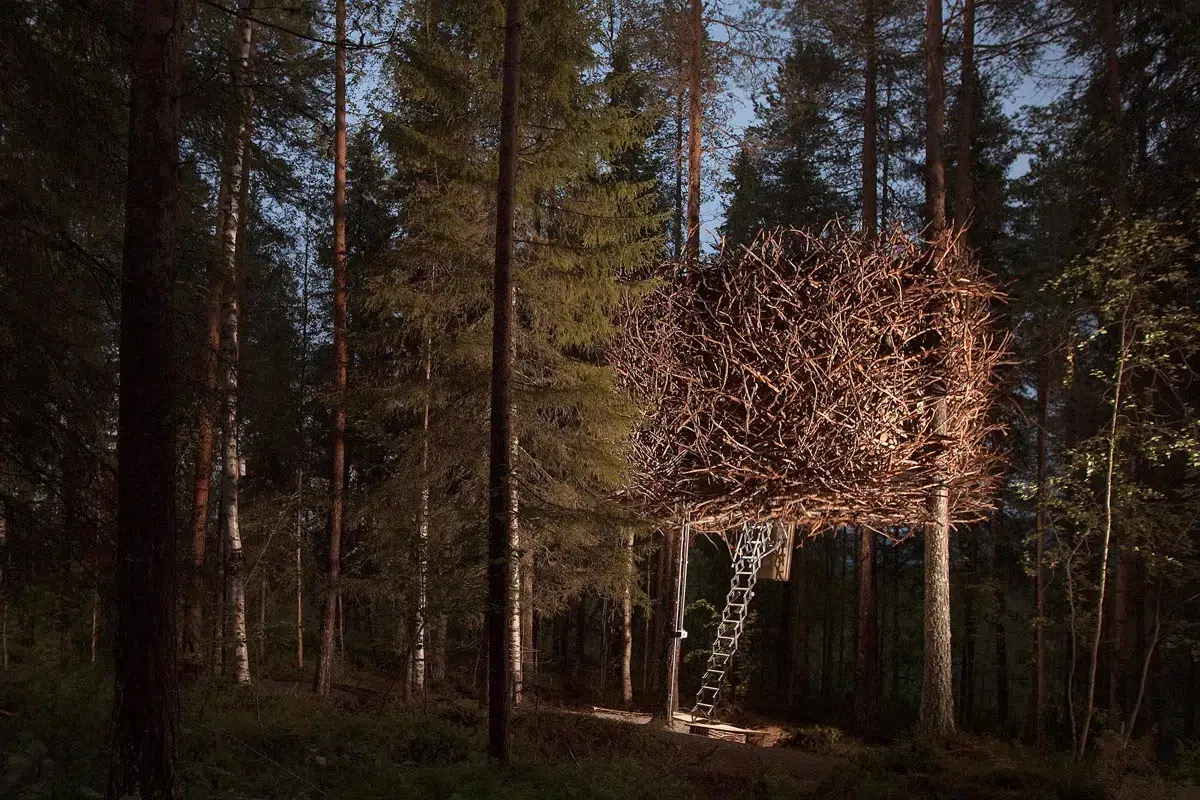 Les plus beaux hôtels en forêt © Treehotel